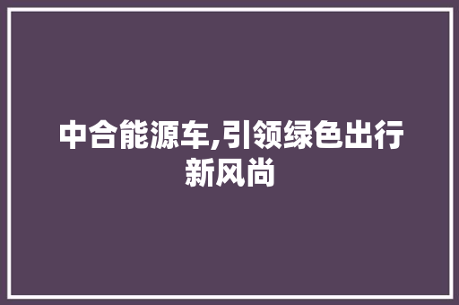 中合能源车,引领绿色出行新风尚