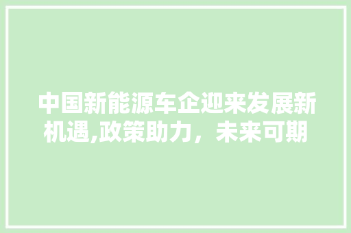 中国新能源车企迎来发展新机遇,政策助力，未来可期