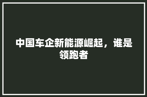 中国车企新能源崛起，谁是领跑者