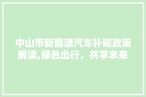 中山市新能源汽车补贴政策解读,绿色出行，共享未来