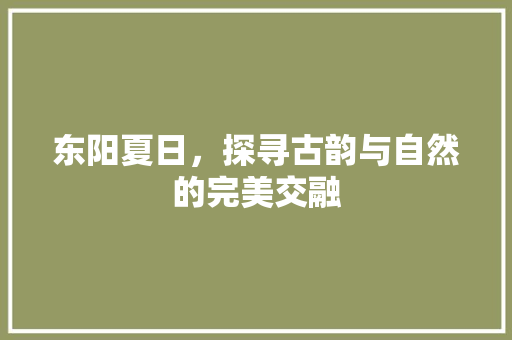 东阳夏日，探寻古韵与自然的完美交融  第1张