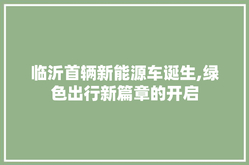 临沂首辆新能源车诞生,绿色出行新篇章的开启