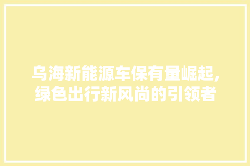 乌海新能源车保有量崛起,绿色出行新风尚的引领者