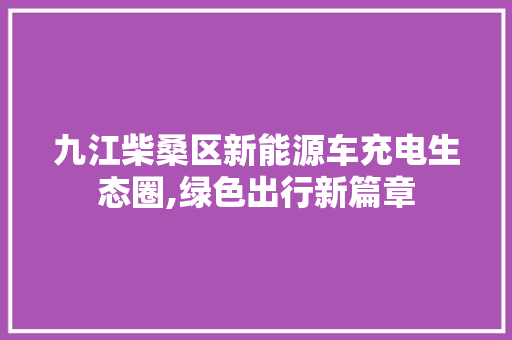 九江柴桑区新能源车充电生态圈,绿色出行新篇章