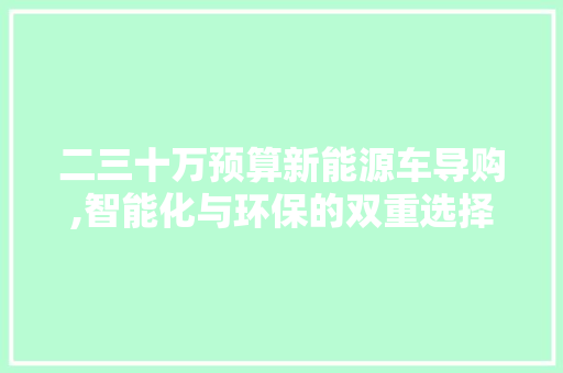 二三十万预算新能源车导购,智能化与环保的双重选择