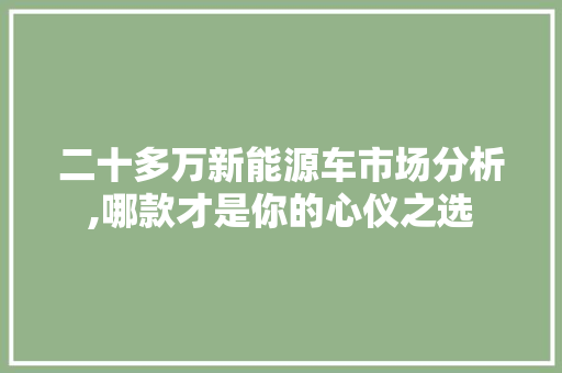 二十多万新能源车市场分析,哪款才是你的心仪之选