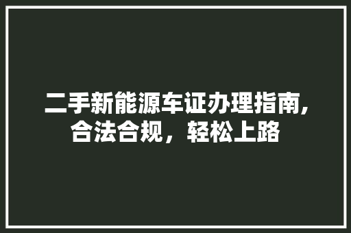 二手新能源车证办理指南,合法合规，轻松上路