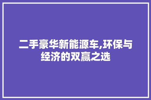 二手豪华新能源车,环保与经济的双赢之选