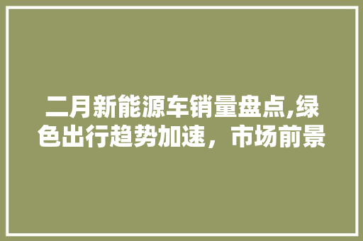 二月新能源车销量盘点,绿色出行趋势加速，市场前景可期