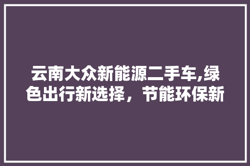 云南大众新能源二手车,绿色出行新选择，节能环保新时尚