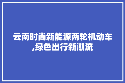 云南时尚新能源两轮机动车,绿色出行新潮流