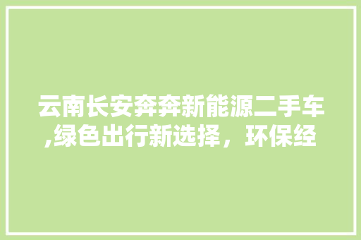 云南长安奔奔新能源二手车,绿色出行新选择，环保经济双赢之路