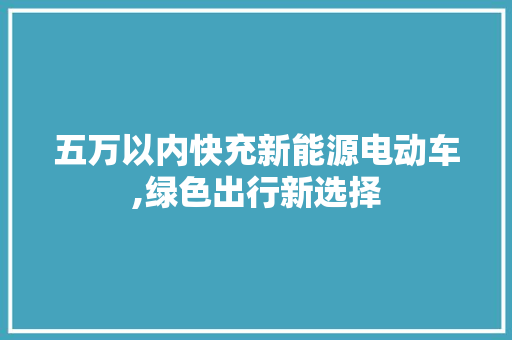 五万以内快充新能源电动车,绿色出行新选择