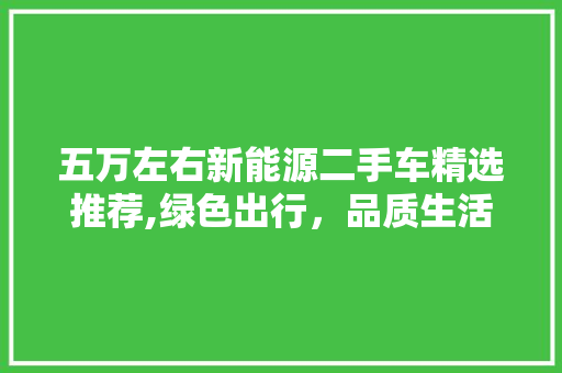 五万左右新能源二手车精选推荐,绿色出行，品质生活