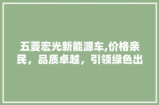 五菱宏光新能源车,价格亲民，品质卓越，引领绿色出行新风尚