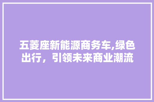 五菱座新能源商务车,绿色出行，引领未来商业潮流