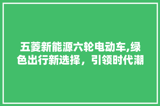 五菱新能源六轮电动车,绿色出行新选择，引领时代潮流