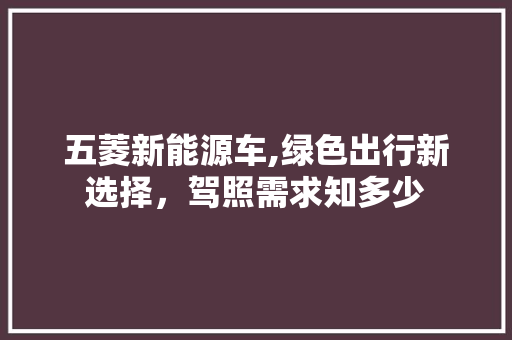 五菱新能源车,绿色出行新选择，驾照需求知多少