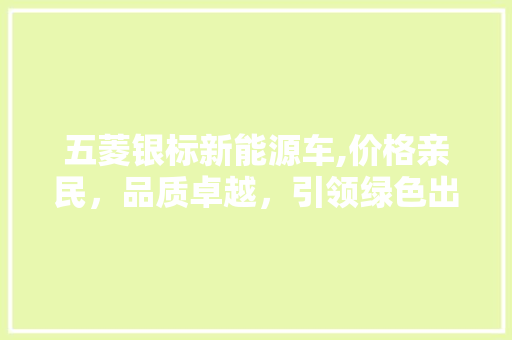 五菱银标新能源车,价格亲民，品质卓越，引领绿色出行新风尚  第1张