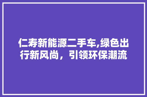 仁寿新能源二手车,绿色出行新风尚，引领环保潮流