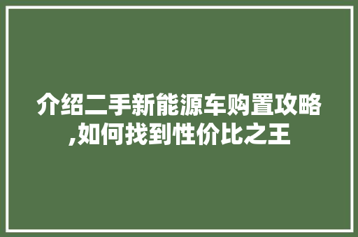 介绍二手新能源车购置攻略,如何找到性价比之王