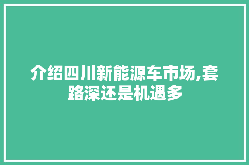 介绍四川新能源车市场,套路深还是机遇多