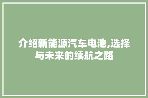 介绍新能源汽车电池,选择与未来的续航之路