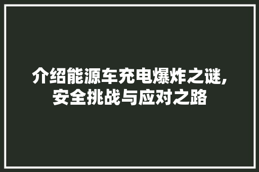 介绍能源车充电爆炸之谜,安全挑战与应对之路