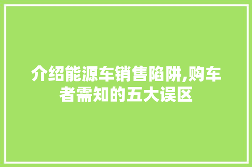 介绍能源车销售陷阱,购车者需知的五大误区  第1张