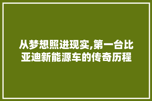 从梦想照进现实,第一台比亚迪新能源车的传奇历程