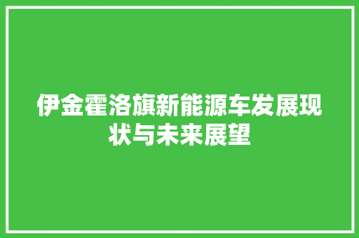 伊金霍洛旗新能源车发展现状与未来展望