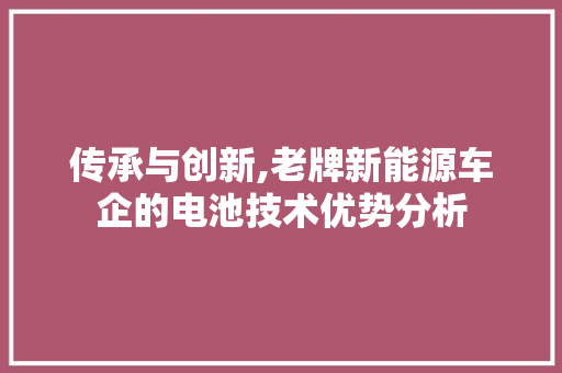 传承与创新,老牌新能源车企的电池技术优势分析