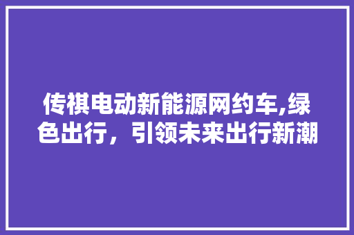 传祺电动新能源网约车,绿色出行，引领未来出行新潮流