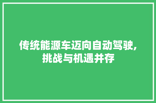 传统能源车迈向自动驾驶,挑战与机遇并存