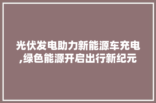 光伏发电助力新能源车充电,绿色能源开启出行新纪元