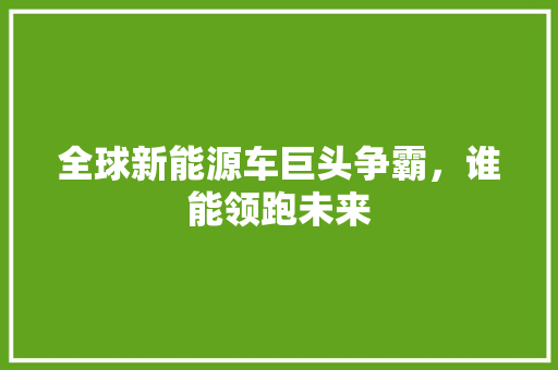 全球新能源车巨头争霸，谁能领跑未来