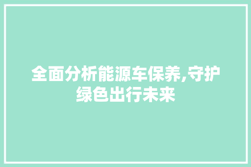 全面分析能源车保养,守护绿色出行未来