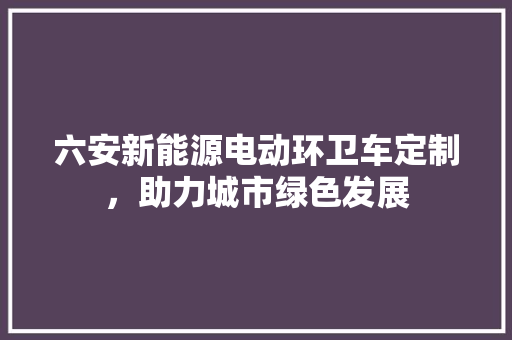 六安新能源电动环卫车定制，助力城市绿色发展