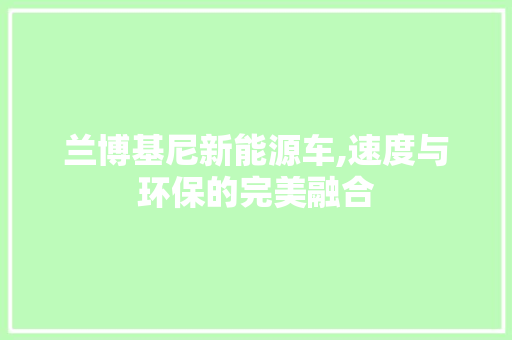 兰博基尼新能源车,速度与环保的完美融合