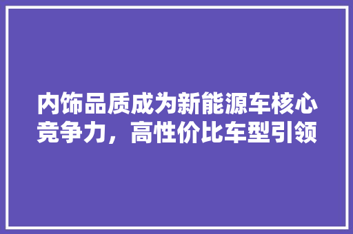 内饰品质成为新能源车核心竞争力，高性价比车型引领市场潮流