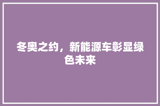 冬奥之约，新能源车彰显绿色未来