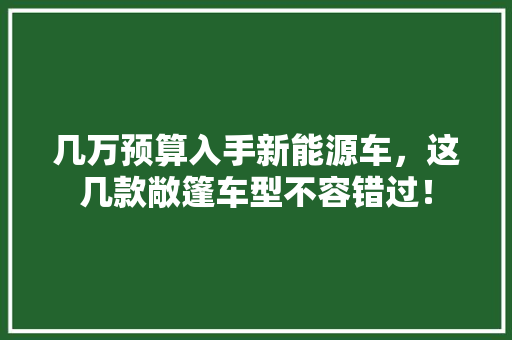 几万预算入手新能源车，这几款敞篷车型不容错过！