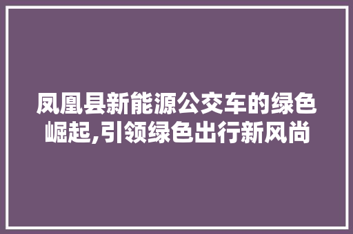 凤凰县新能源公交车的绿色崛起,引领绿色出行新风尚