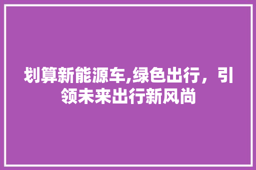 划算新能源车,绿色出行，引领未来出行新风尚