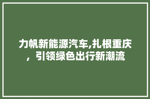 力帆新能源汽车,扎根重庆，引领绿色出行新潮流