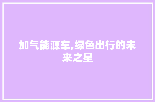 加气能源车,绿色出行的未来之星