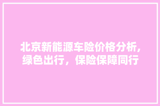 北京新能源车险价格分析,绿色出行，保险保障同行