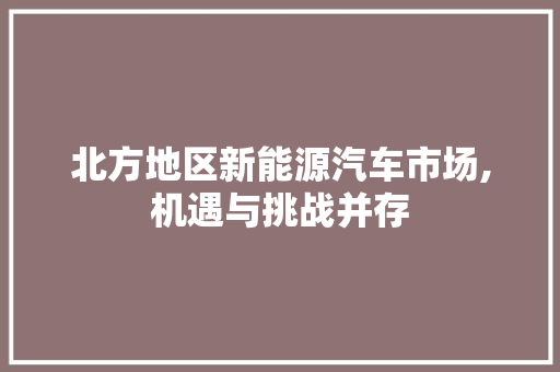 北方地区新能源汽车市场,机遇与挑战并存