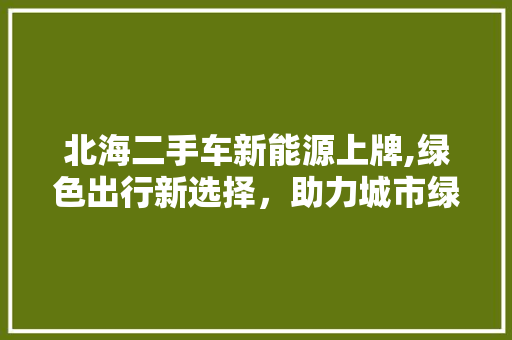 北海二手车新能源上牌,绿色出行新选择，助力城市绿色发展