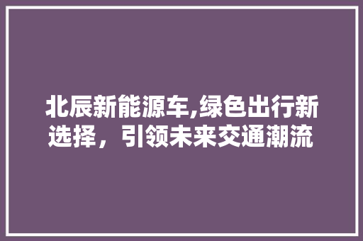 北辰新能源车,绿色出行新选择，引领未来交通潮流